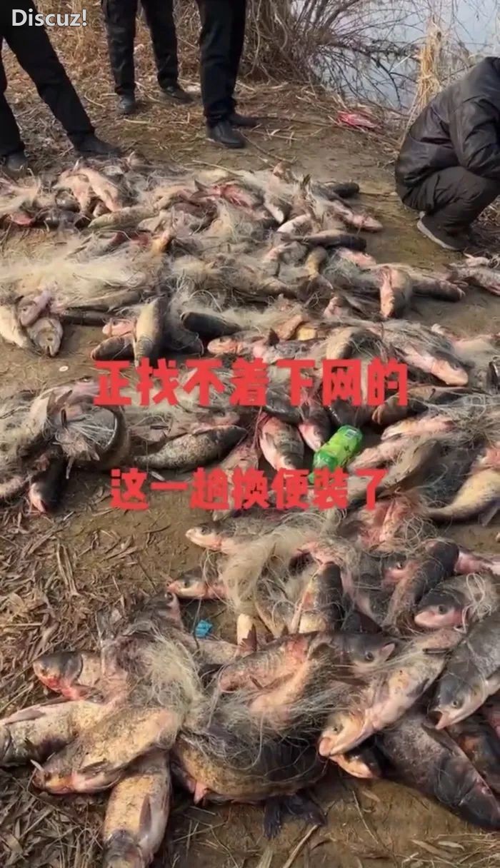 100e5783cd3f8aeed4d0e89ad01ec8b0.jpeg