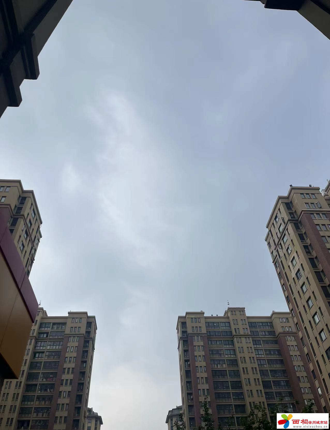 微信图片_20240423085740.jpg