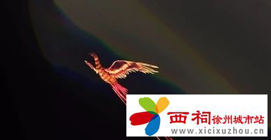 微信图片_20240424094757.jpg
