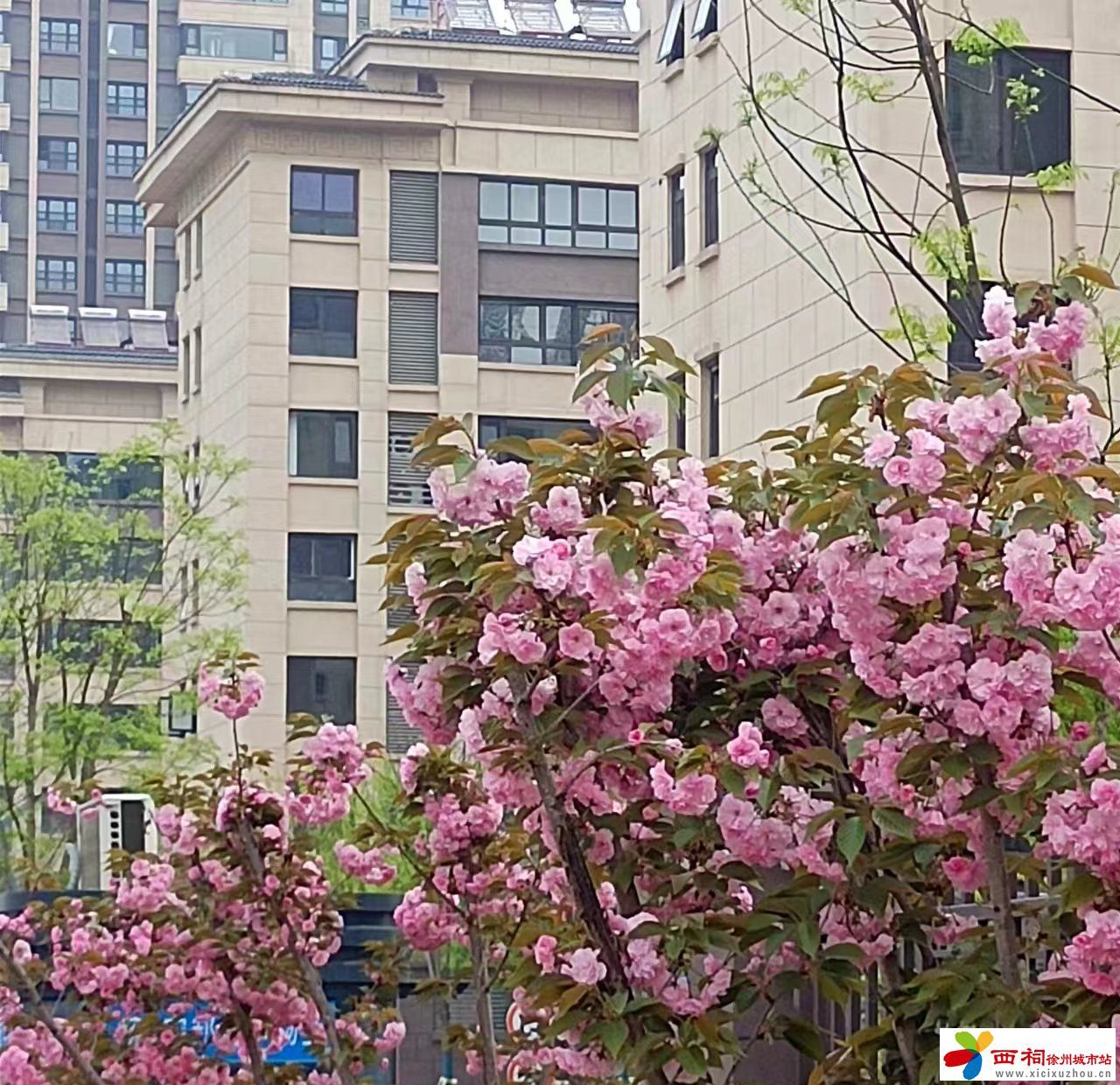 微信图片_202404090811191.jpg