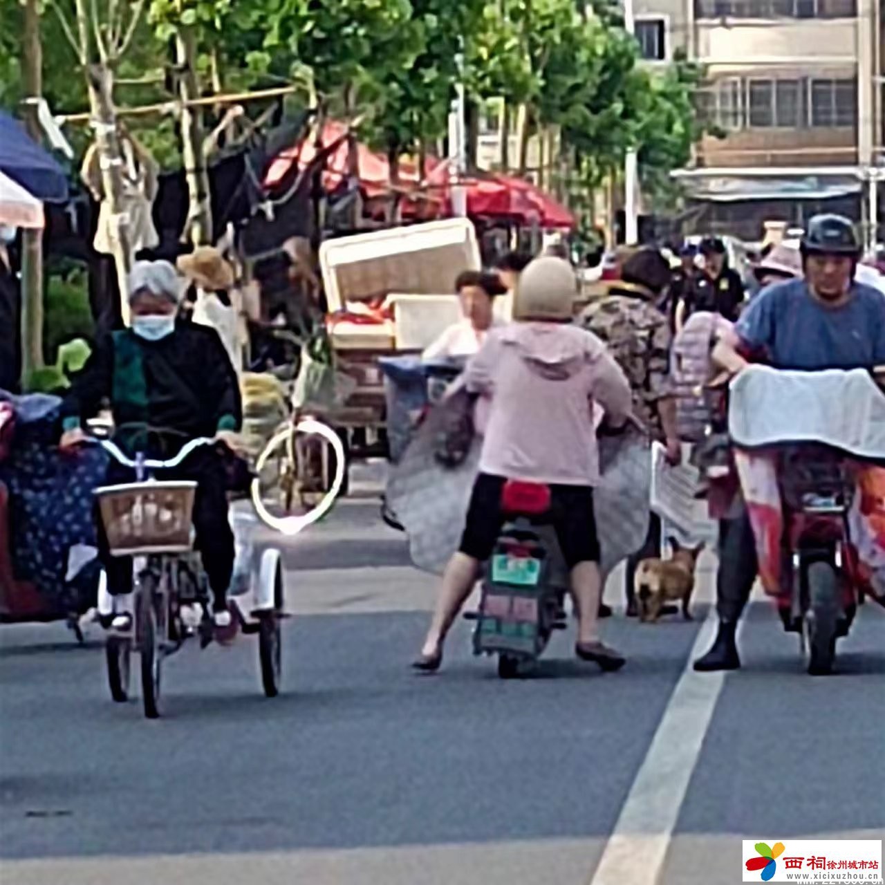 微信图片_20240519085740.jpg