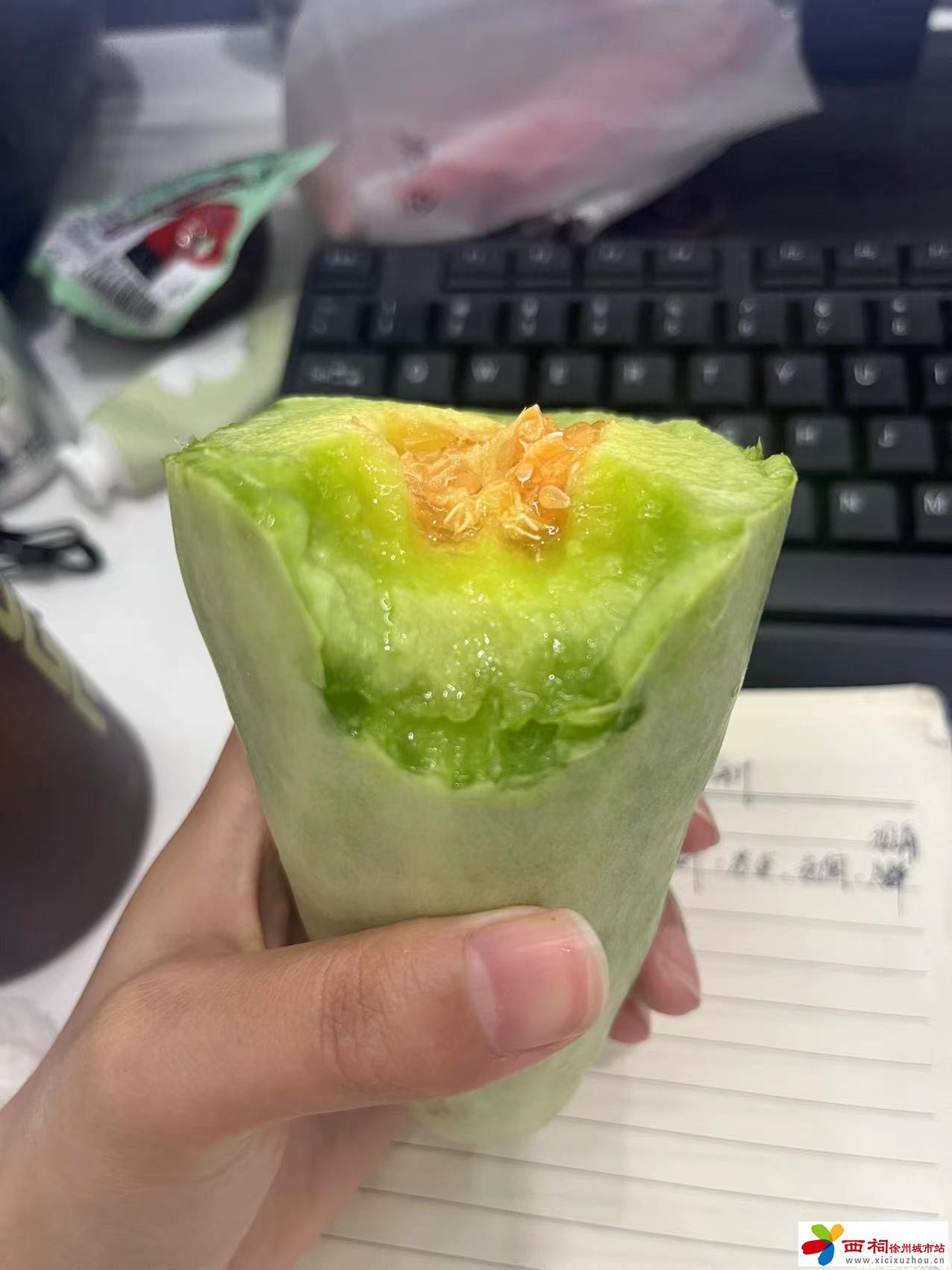微信图片_20240522104048.jpg