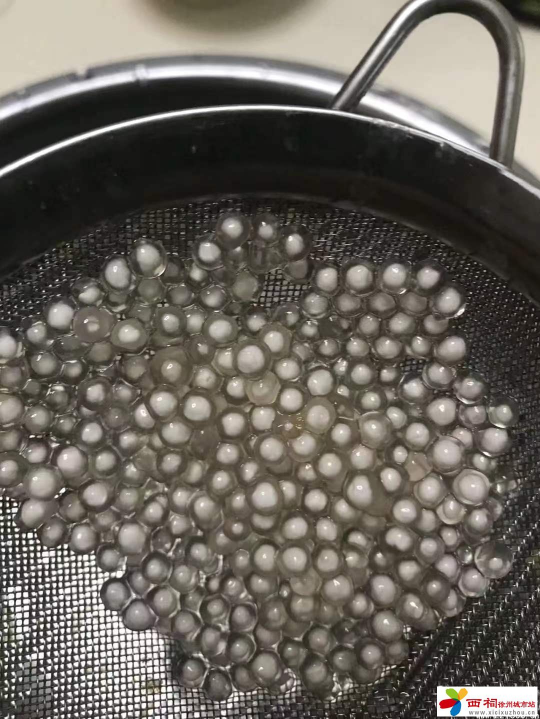 微信图片_20240523151848.jpg