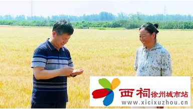 微信图片_20240528103956.jpg