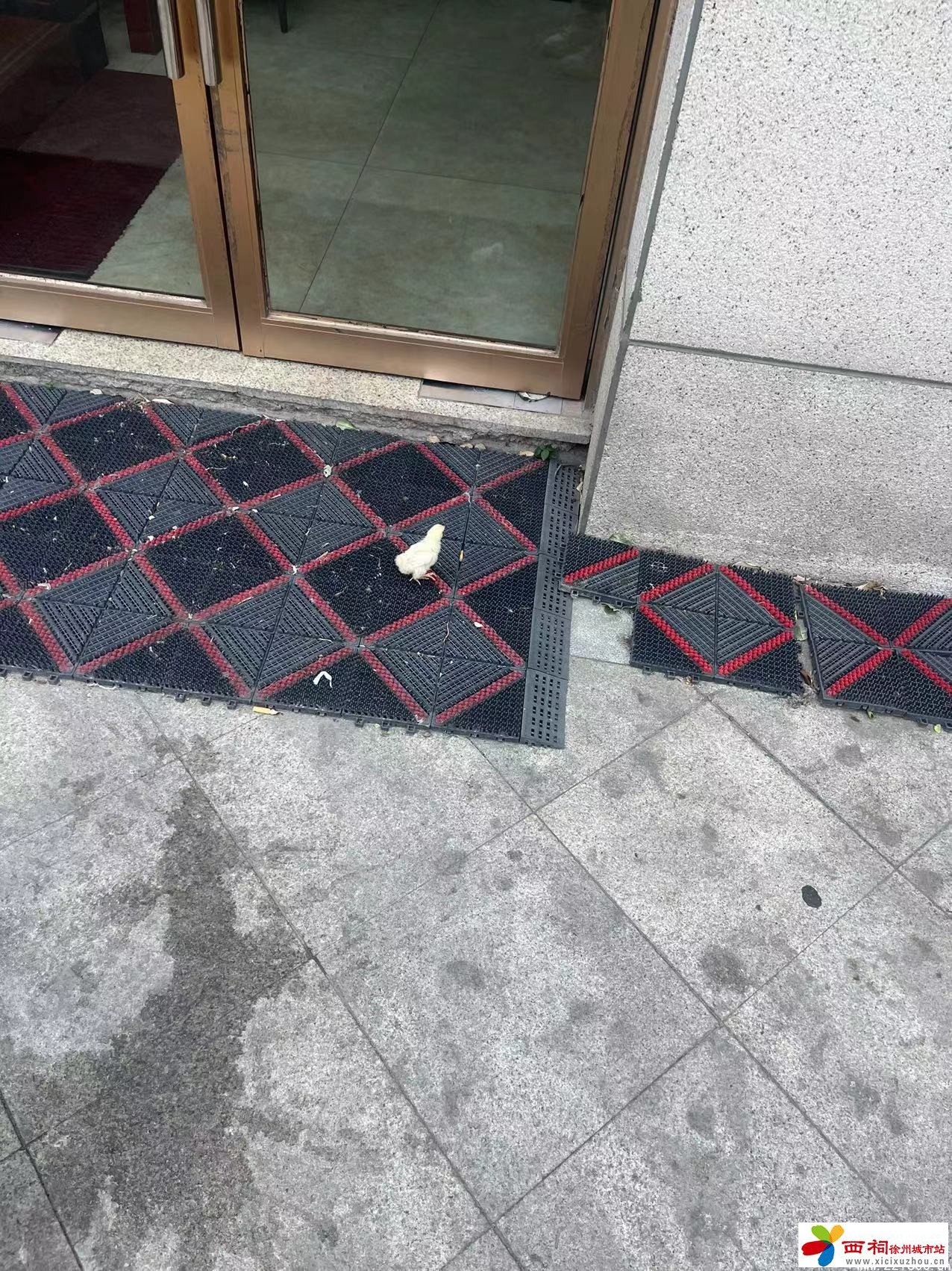 微信图片_20240603140254.jpg