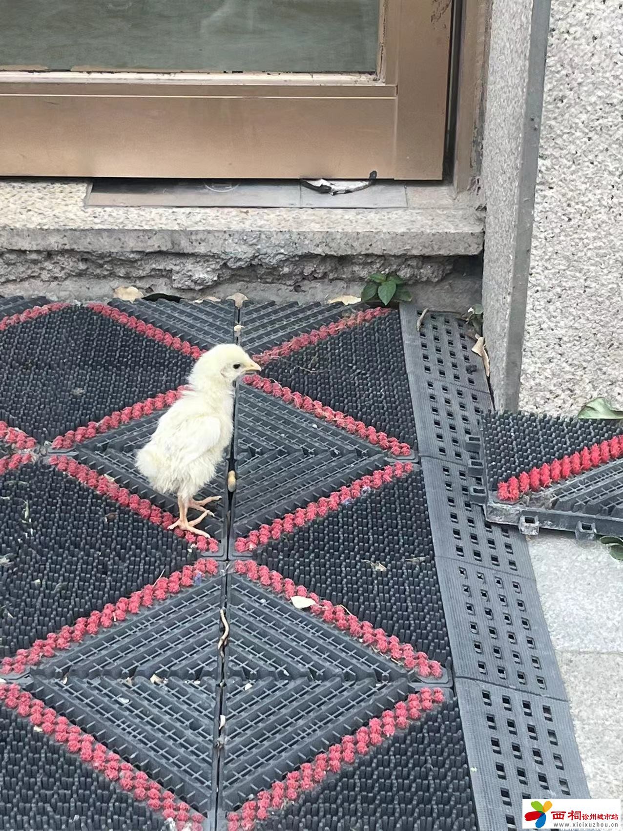 微信图片_20240603140301.jpg