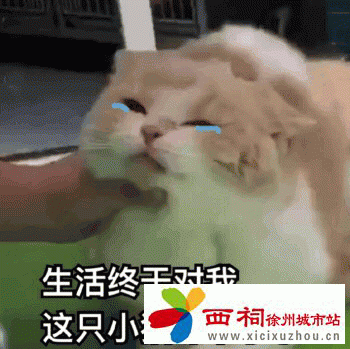 t018c0c7318bd578ccc.gif
