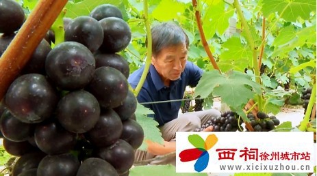 微信图片_20240614103451.jpg