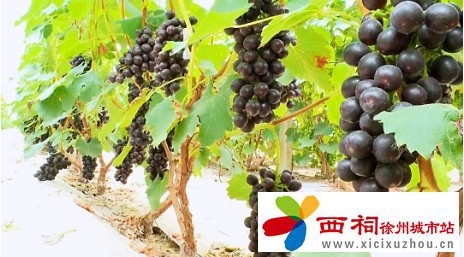 微信图片_20240614103454.jpg