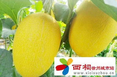 微信图片_20240614103503.jpg