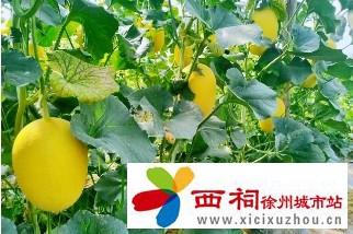 微信图片_20240614103506.jpg