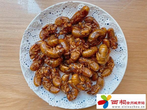 微信图片_20240614164052.jpg