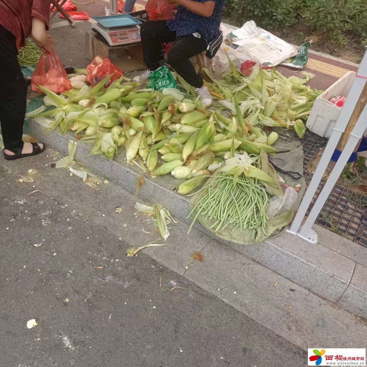 微信图片_202406251456574.jpg