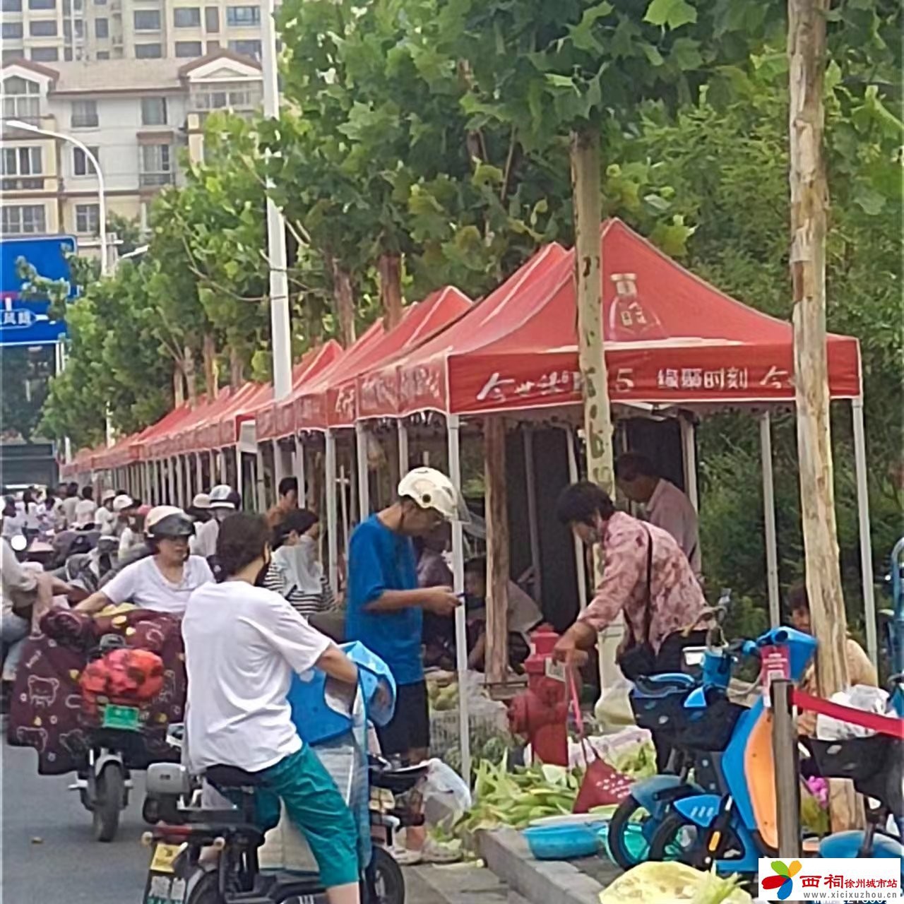 微信图片_20240625145658.jpg