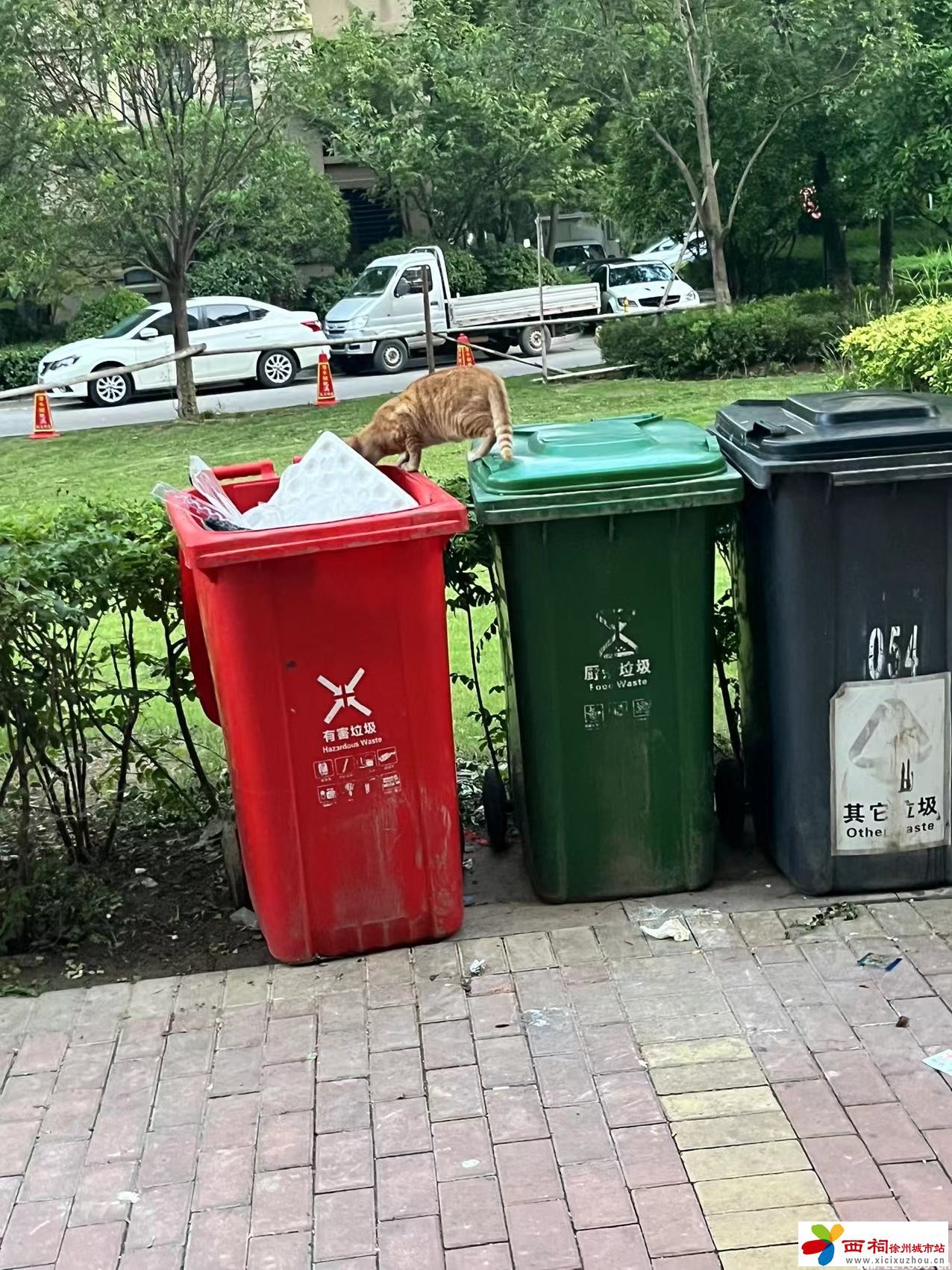 微信图片_20240712161154.jpg