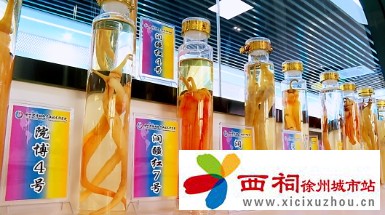 微信图片_20240728111814.jpg