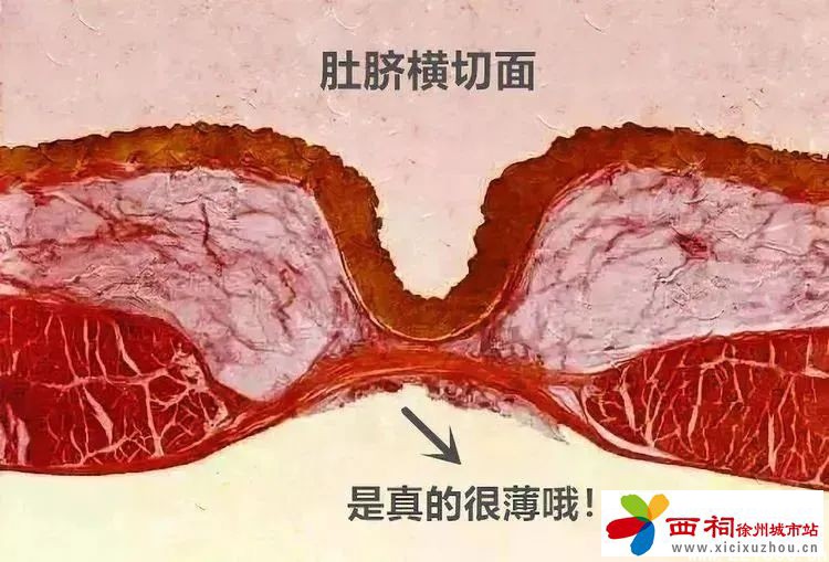 微信图片_20240815164140.jpg