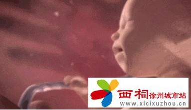 微信图片_20240815163711.jpg