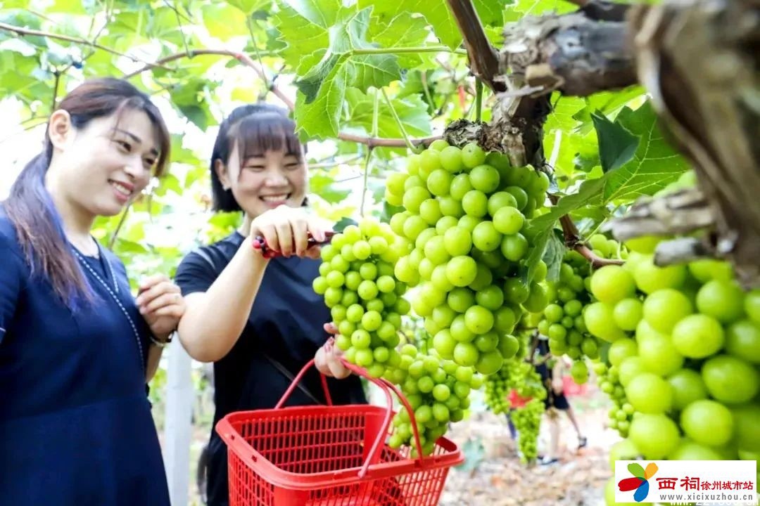 微信图片_20240909162547.jpg