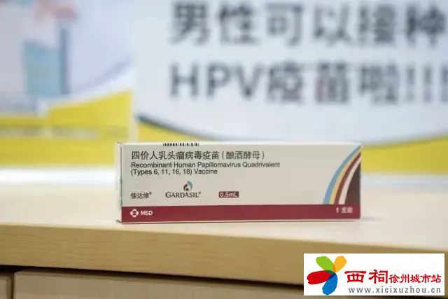685b7a2b9d069b520007ca179fe2afbe.jpg