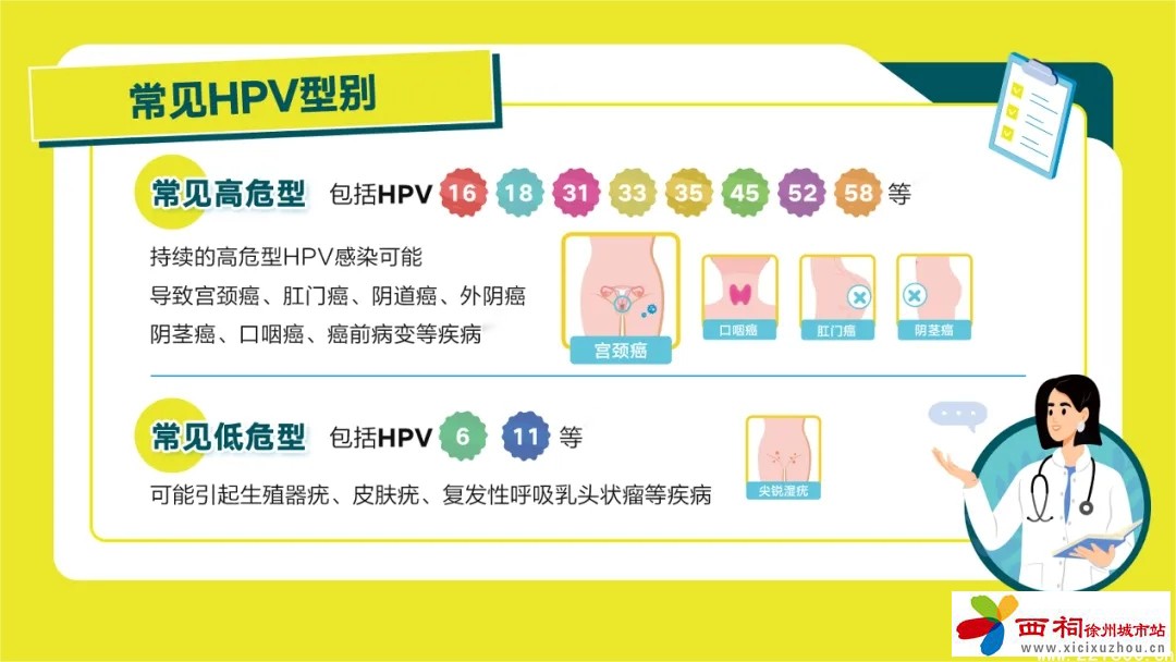 微信图片_20250123105321.jpg
