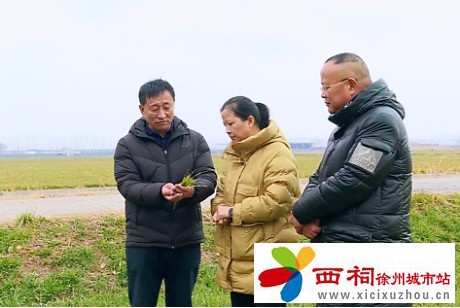 微信图片_20250226143437.jpg
