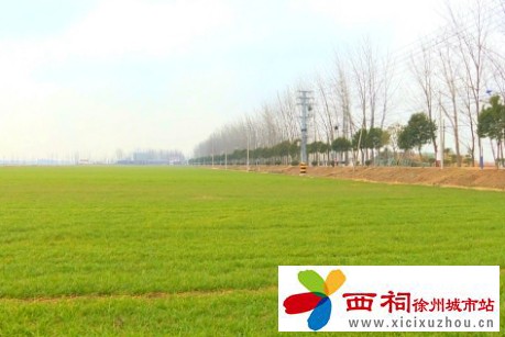 微信图片_20250226143431.jpg