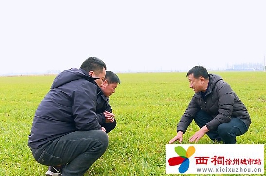 微信图片_20250226143428.jpg
