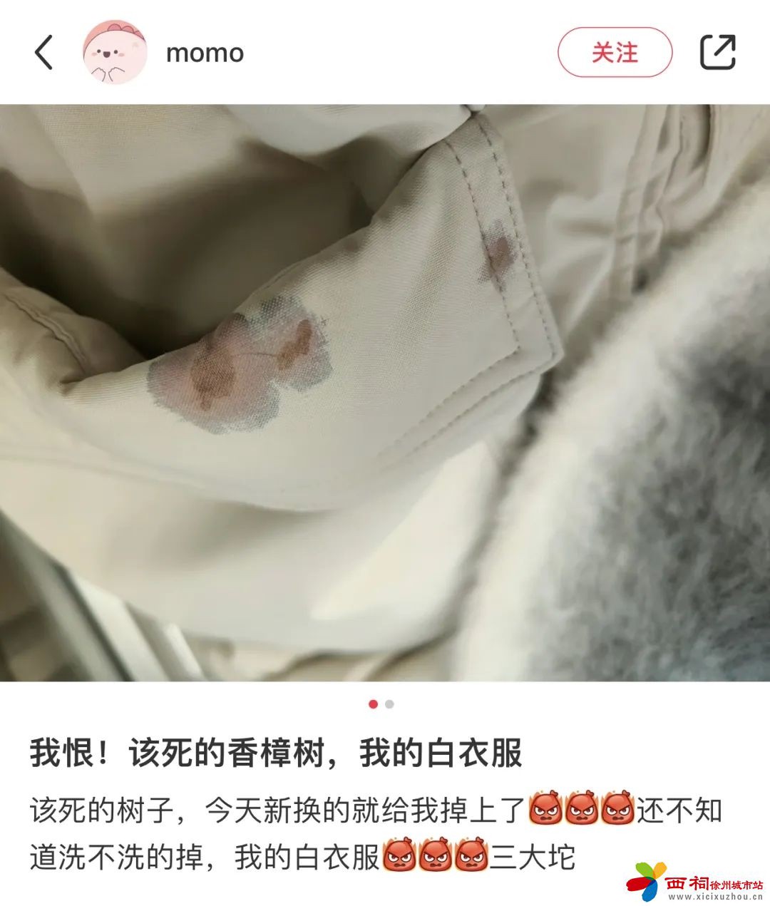 83fc410be44db7b69471248882f29020.jpg