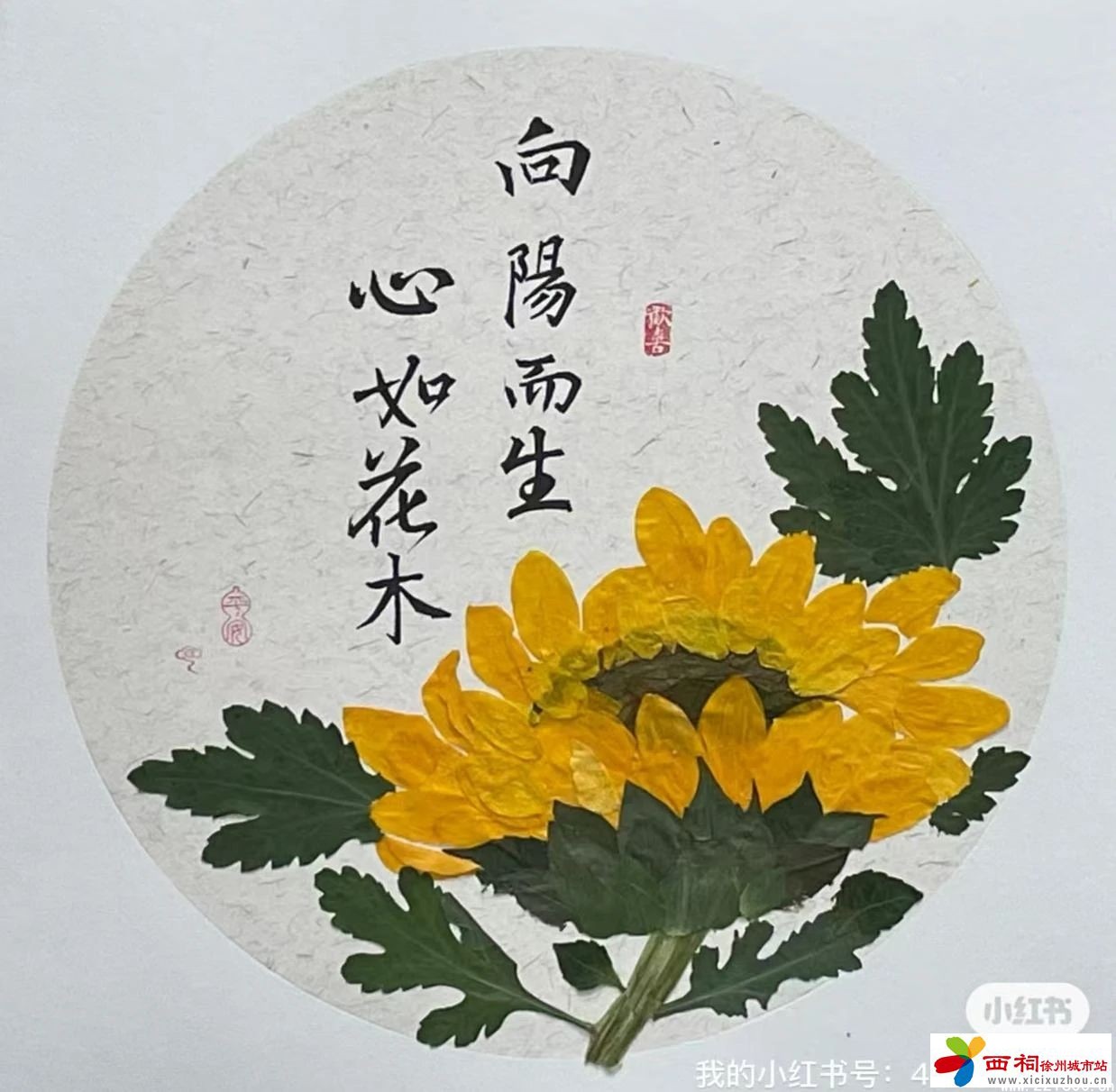 微信图片_20250314115419.jpg