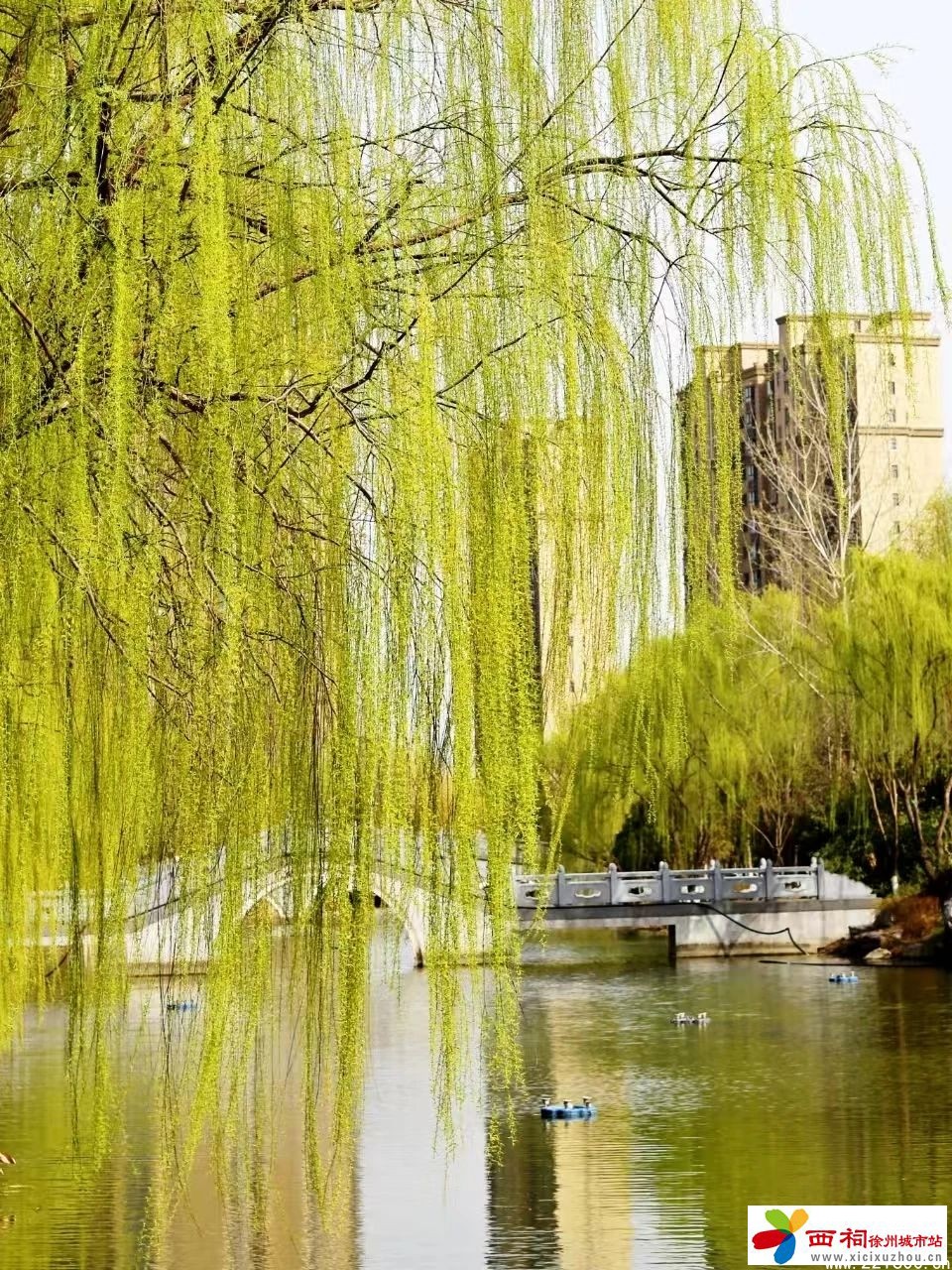 微信图片_20250401104253.jpg