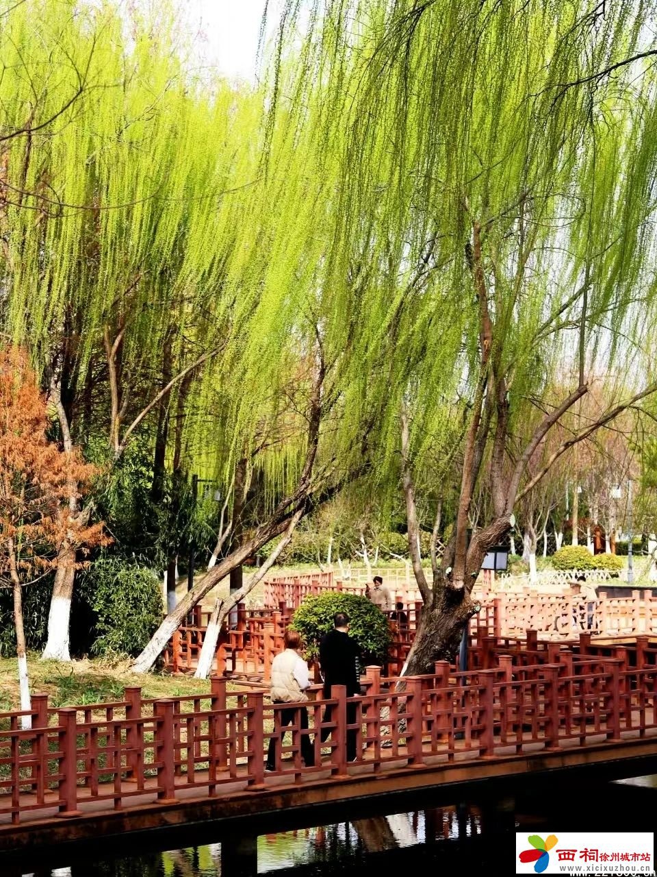 微信图片_20250401104304.jpg
