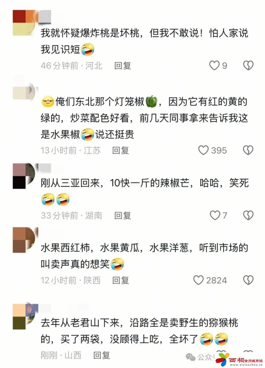微信图片_20250407113644.jpg