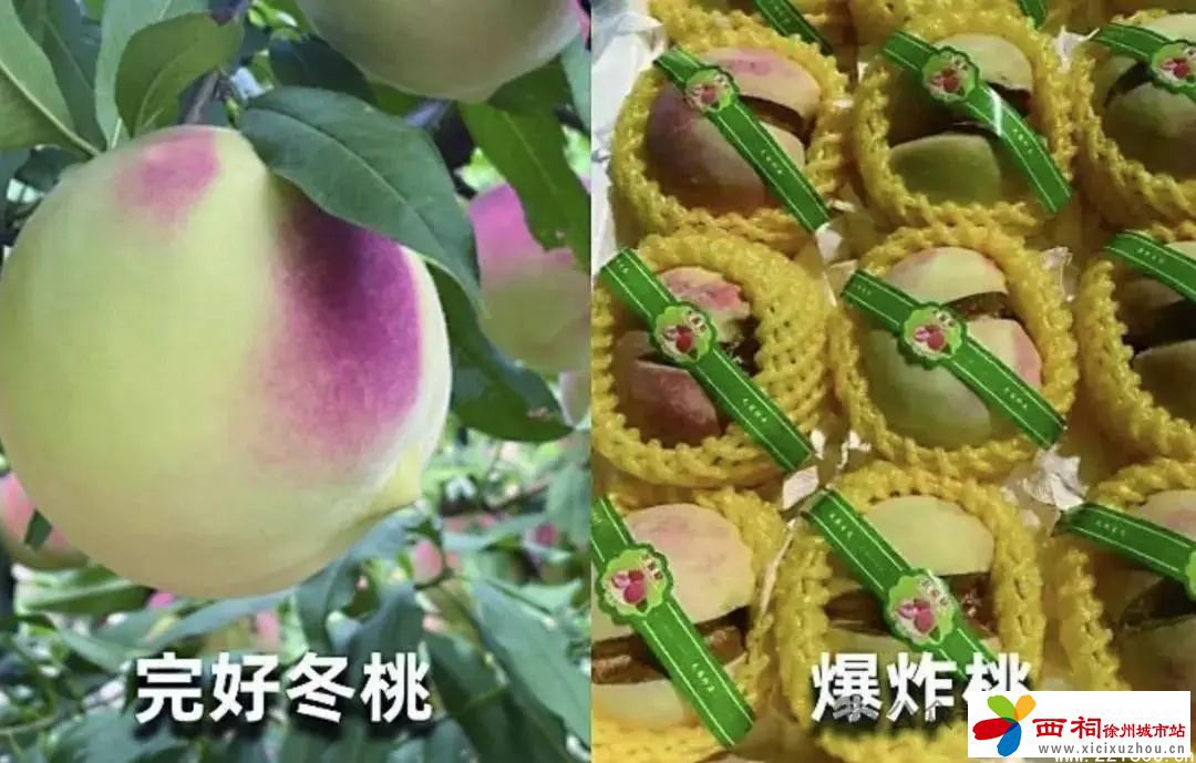 微信图片_20250407113952.jpg