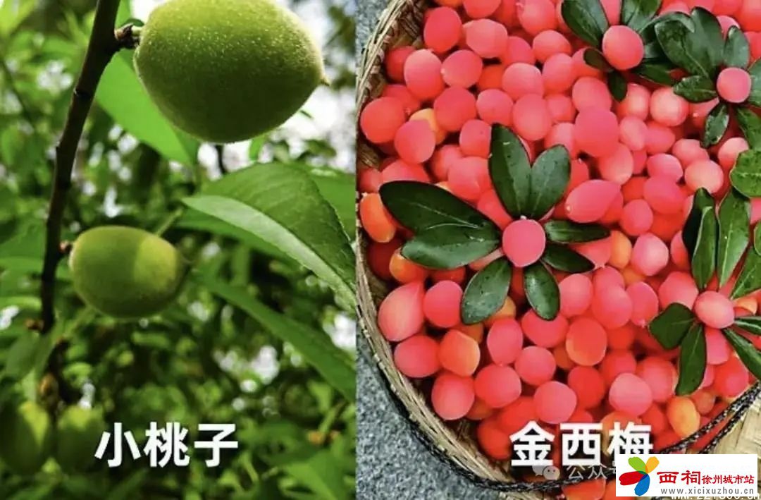 微信图片_20250407113948.jpg