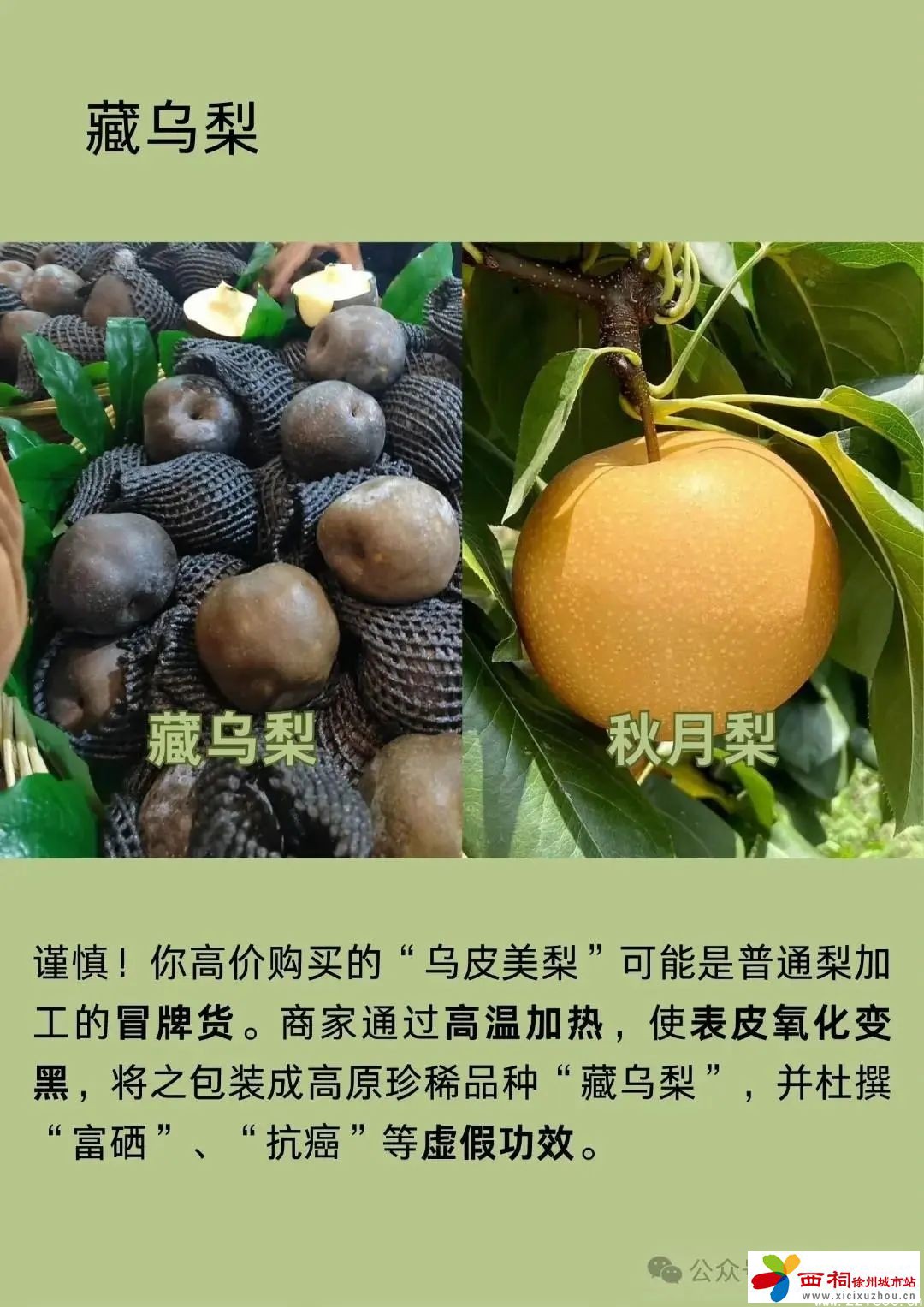 微信图片_20250407114001.jpg