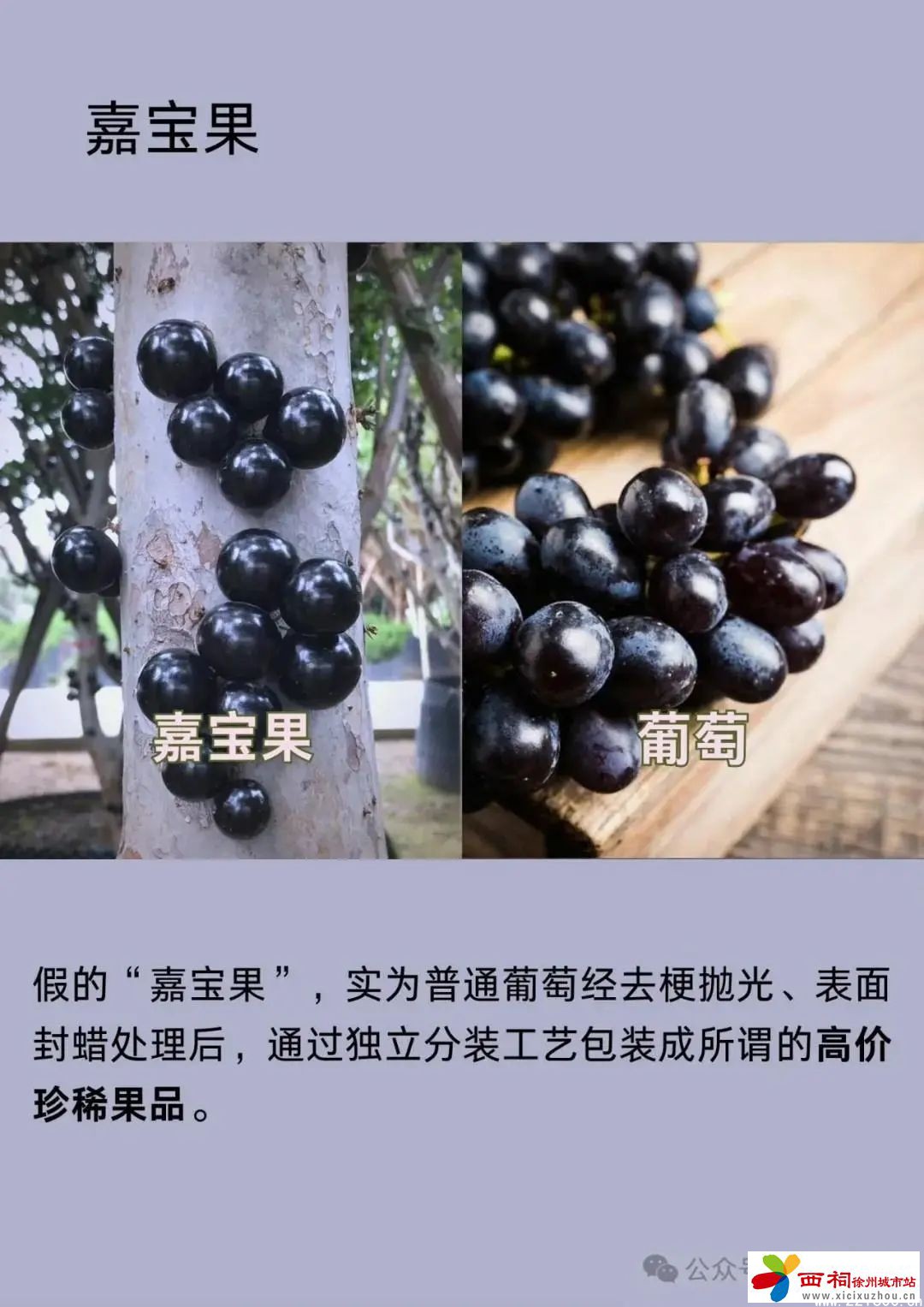 微信图片_20250407114010.jpg