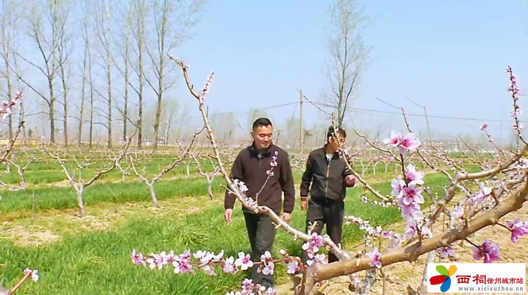 微信图片_20250409161926.jpg