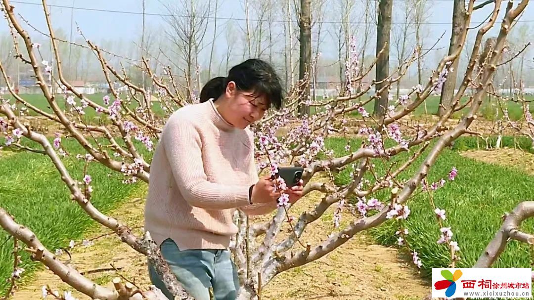 微信图片_20250409161939.jpg