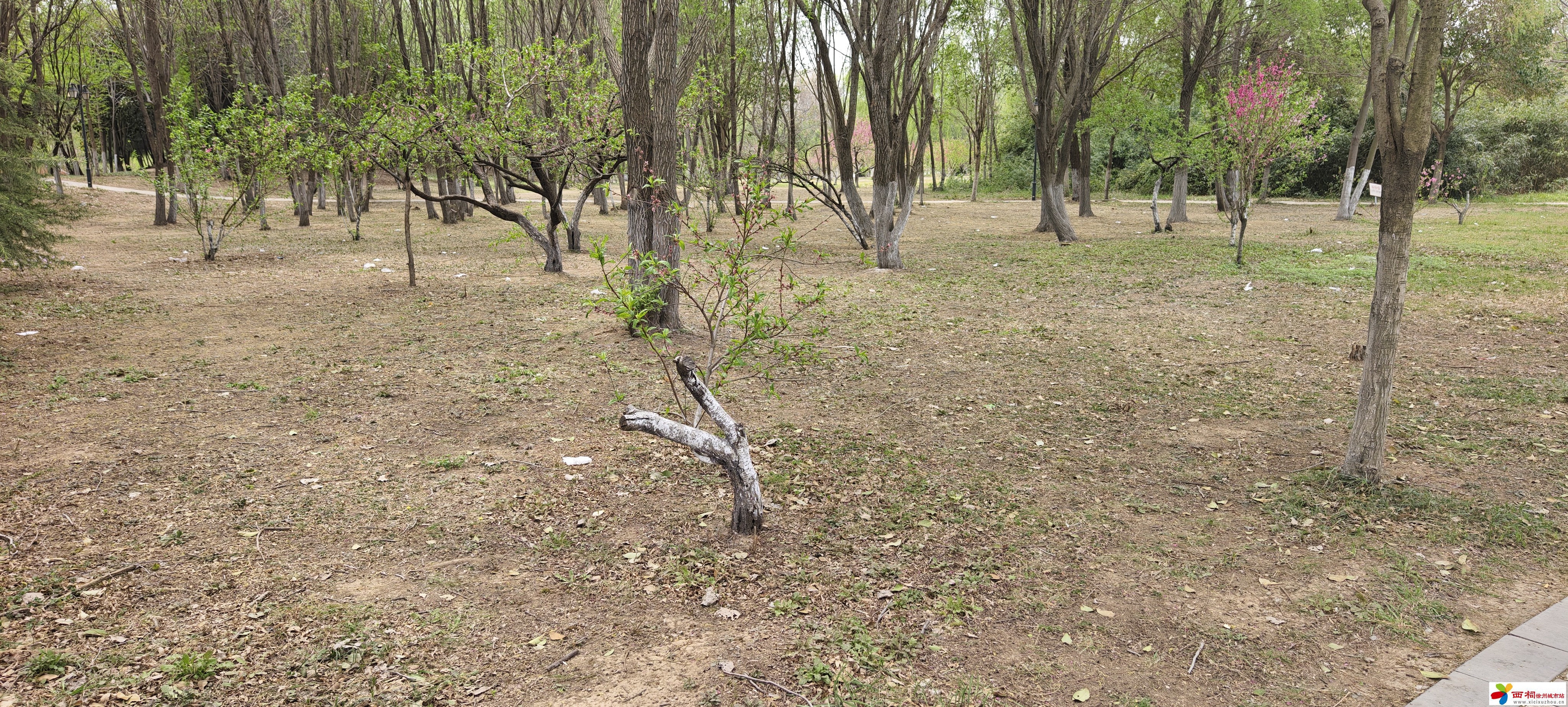 IMG_20250407_122030.jpg