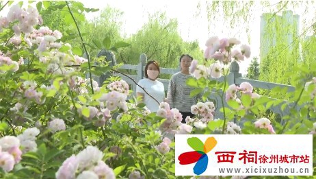 微信图片_20250505160517.jpg